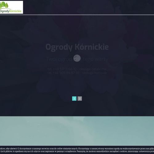 Trawy ozdobne szkółka Poznań