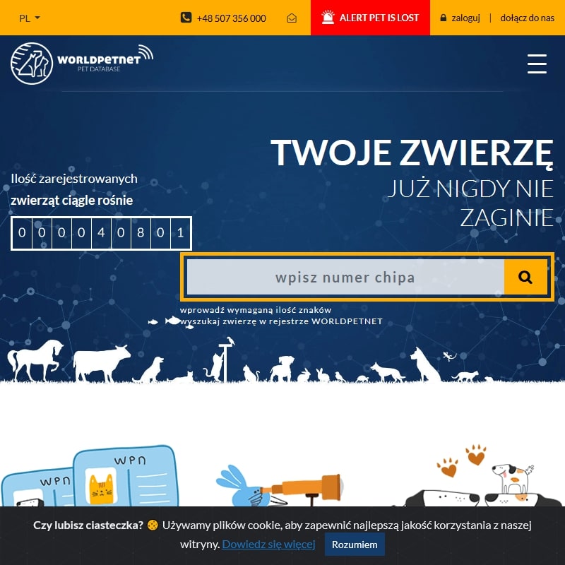 Świecie - identyfikacja kota