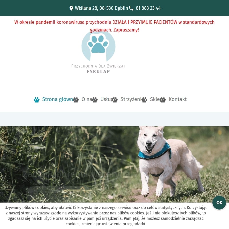 Dermatolog weterynarz Dęblin