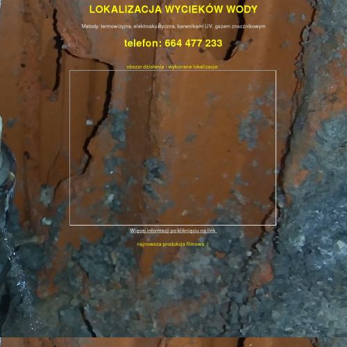 Lokalizacja wycieków