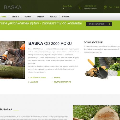 Przycinanie drzew śląsk w Gliwicach