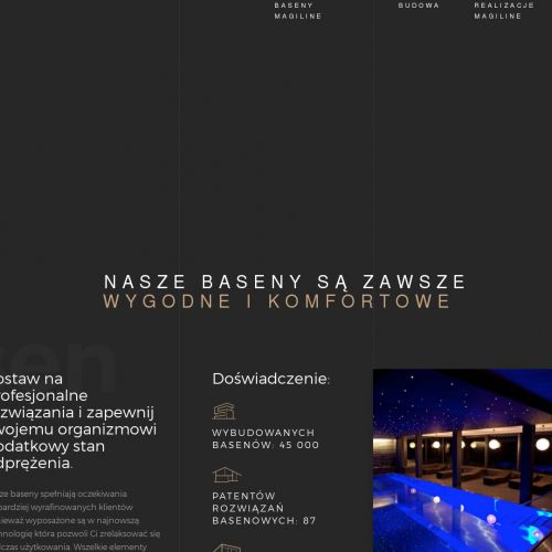 Niecka basenowa - Kraków