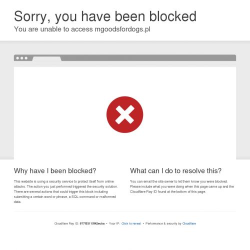 Szarpaki dla dużych psów